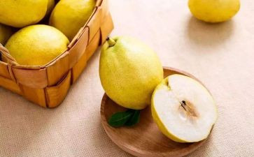 梨创意画教案模板8篇