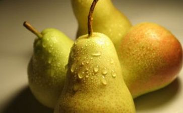 梨创意画教案通用7篇