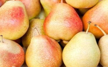 梨创意画教案优质8篇