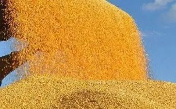 粮食局年终总结6篇