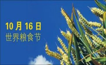 爱粮食节约粮食演讲稿模板8篇