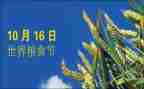 爱粮食节约粮食演讲稿模板8篇