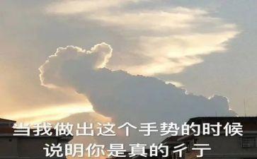 我真了不起作文了500字最新6篇