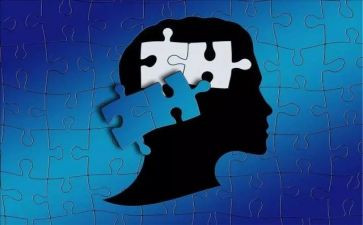 我需要理解作文5篇