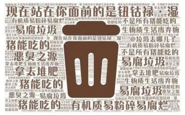 垃圾调研报告5篇