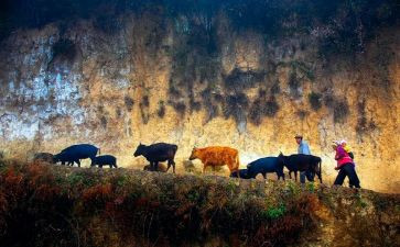 关爱留守儿童策划活动方案5篇