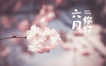 六月份幼儿小班工作总结8篇
