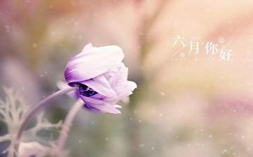 大班六月份月计划7篇