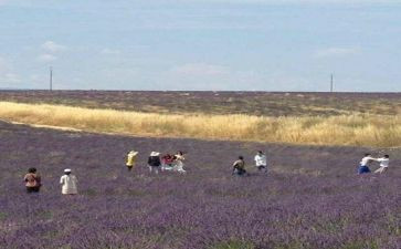 王国历险记作文5篇