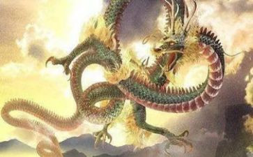 变色龙教案优质7篇