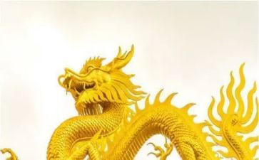 赛龙舟作文300字7篇