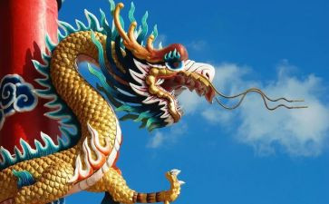 变色龙教案优秀教案5篇