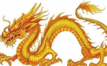 恐龙百科读后感8篇