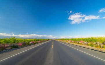 农村公路养护站工作总结7篇