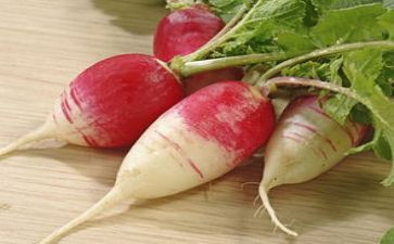 幼儿园小班画萝卜教案精选7篇