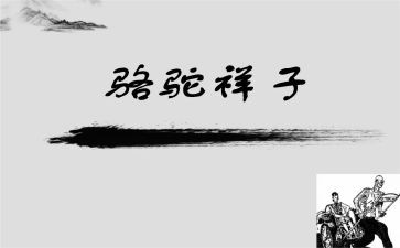 抽骆驼读后感参考5篇