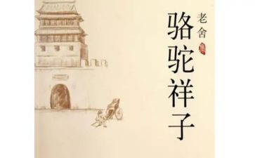 抽骆驼读后感精选5篇