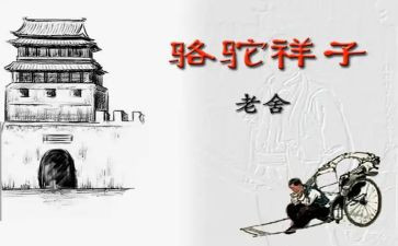 骆驼作文600字精选6篇
