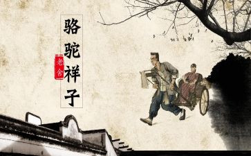 抽骆驼读后感通用5篇
