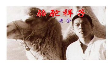 骆驼祥读后感7篇