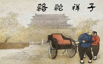 骆驼作文600字7篇