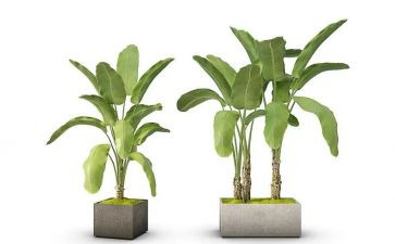 绿化工作月总结最新5篇