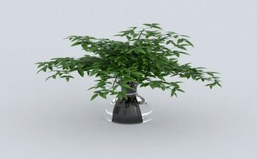 创建绿色的家园演讲稿6篇