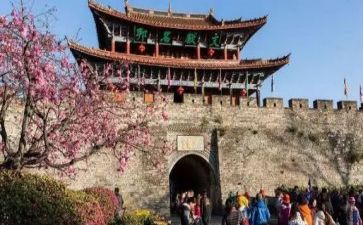 2024旅游作文最新7篇
