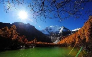旅游社调研报告范文8篇