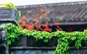 慢活动总结通用8篇