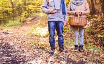 西湖漫步作文7篇