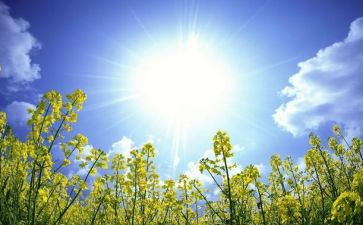 2024浙江作文满分作文6篇