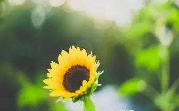 《命》满分作文参考5篇