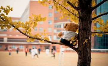 《命》满分作文模板7篇