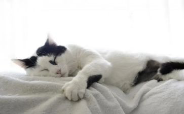 天猫618工作总结最新5篇