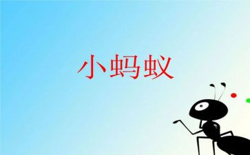 蚂蚁实验作文7篇