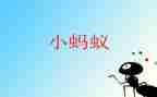 蚂蚁实验作文7篇