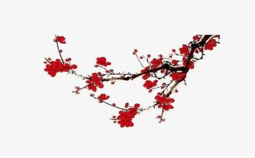 梅花读后感最新8篇