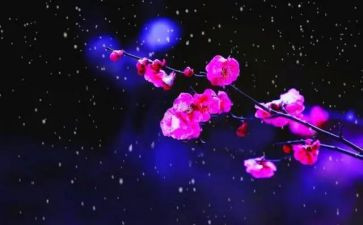 《梅花》教案6篇