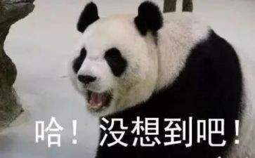没想到优秀作文6篇