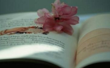 《没有任何借口》读书心得5篇