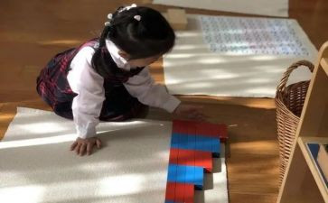 蒙氏半日活动总结精选6篇