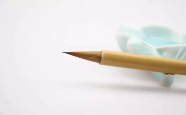 我是一个__迷作文600字7篇