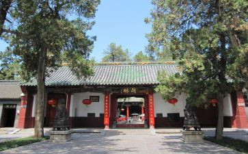 大王庙读后感5篇