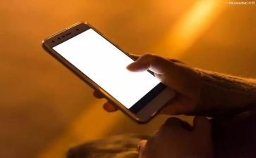 大班葱的秘密教案模板6篇