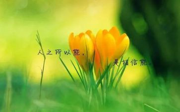 名人故事的读后感通用7篇