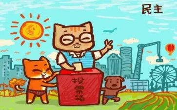 局民主评议总结报告5篇
