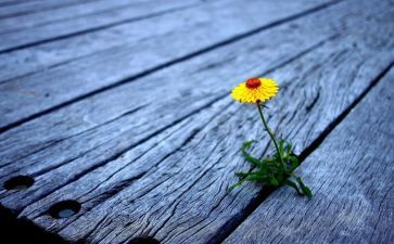 成长磨难的作文6篇