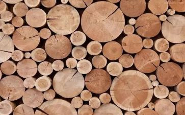 木材合同模板5篇