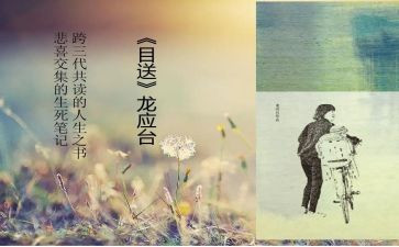 读目送读后感8篇